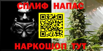дживик Тара