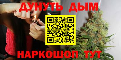 PSILOCYBIN Тула